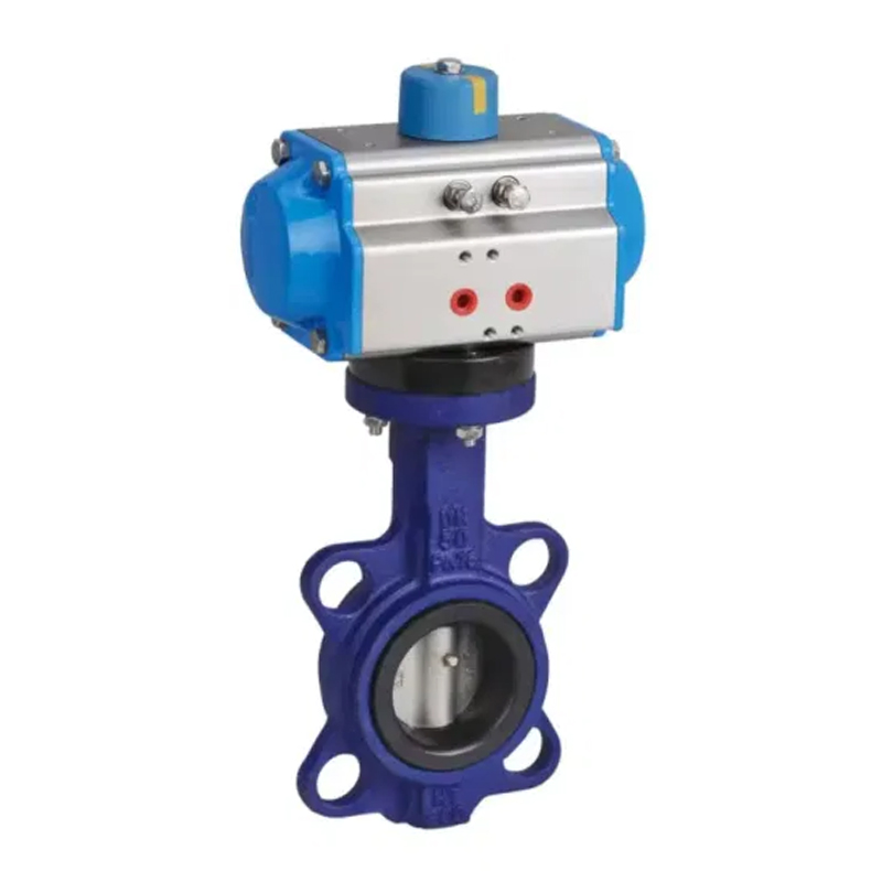 D671X Supapă de fluturi cu clemă pneumatică